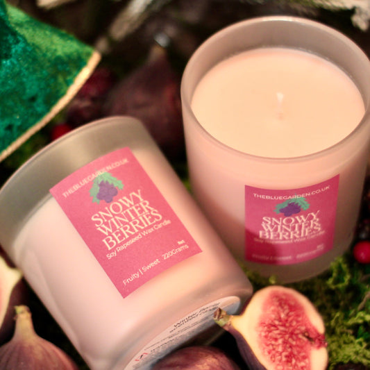 Two candles labeled 'Snowy Winter Berries' surrounded by figs and berries on a textured mossy tray