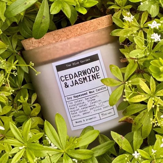 scented soy Candle labeled 'Cedarwood & Jasmine' surrounded by green leaves and white flowers poured in Yorkshire by the blue garden