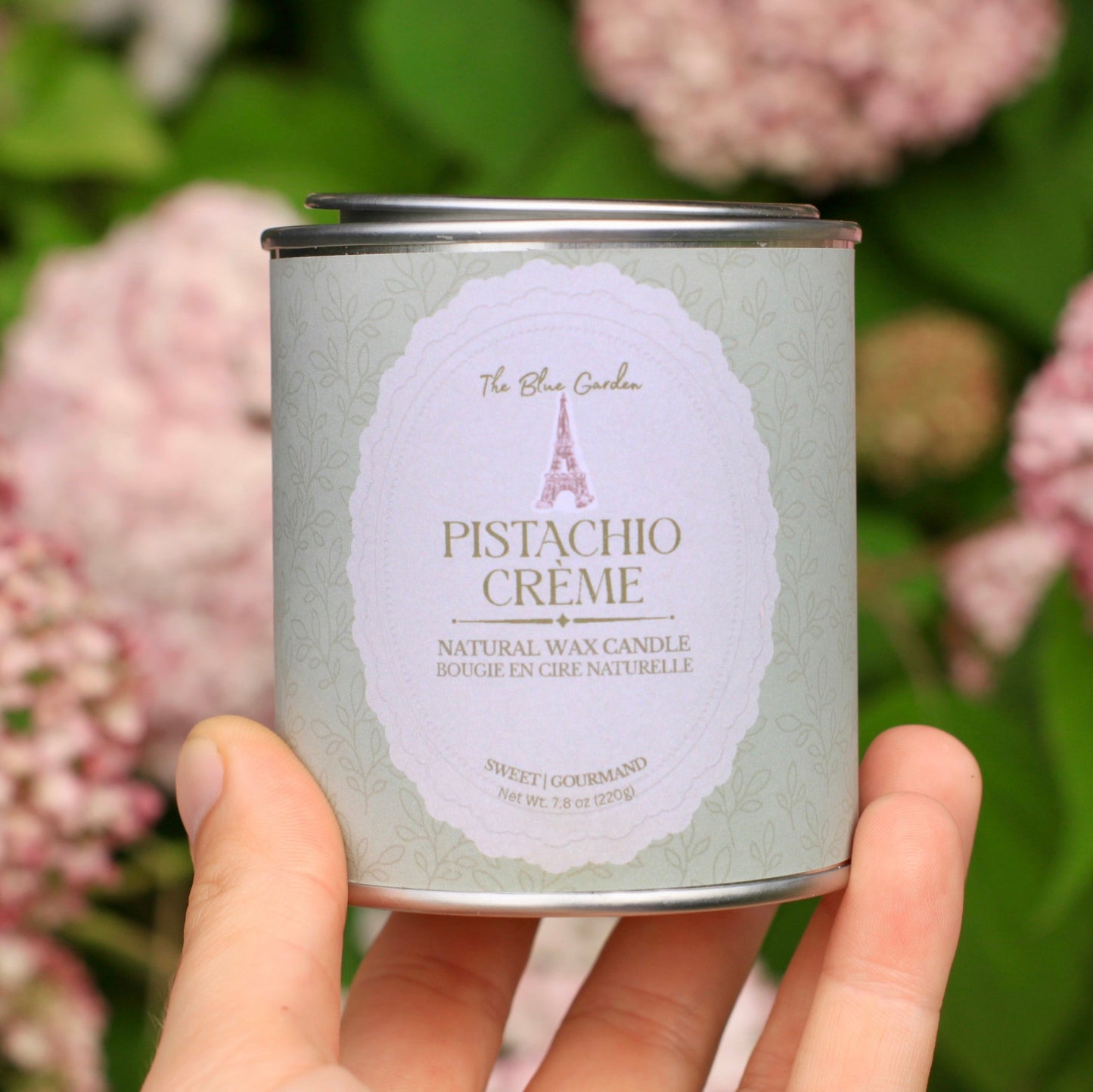hand holding vintage Pistachio Crème candle tin in garden of pink hydrangea flowers