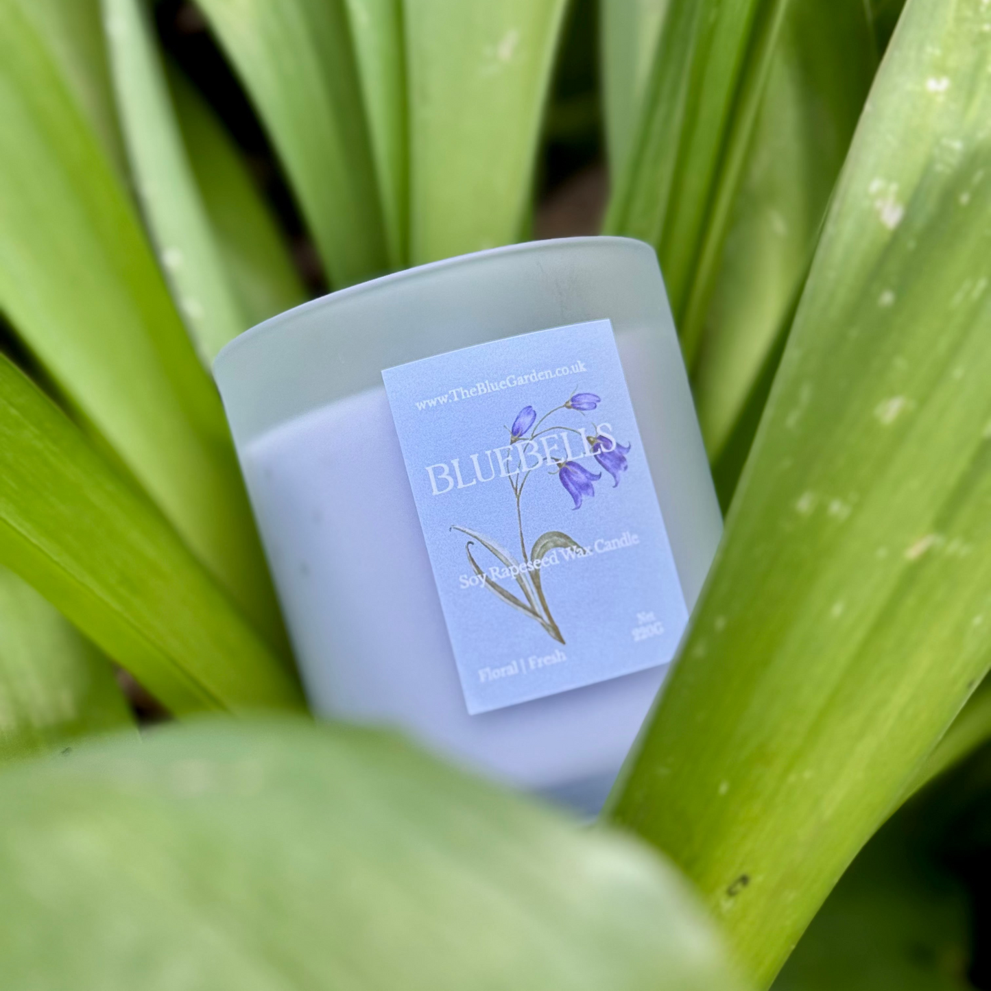 Candle labeled 'Bluebell' surrounded by green leaves