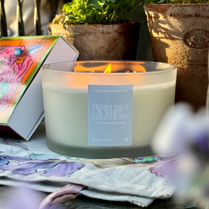 luxury soy triple wick candle in a blue garden